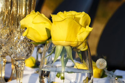 Free Template by colorlib.com