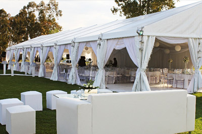 Free Template by colorlib.com